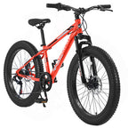 20 Inch Kids Fat Tire Mountain Bike – 7 Speed Bicycle with Dual Disc Brakes